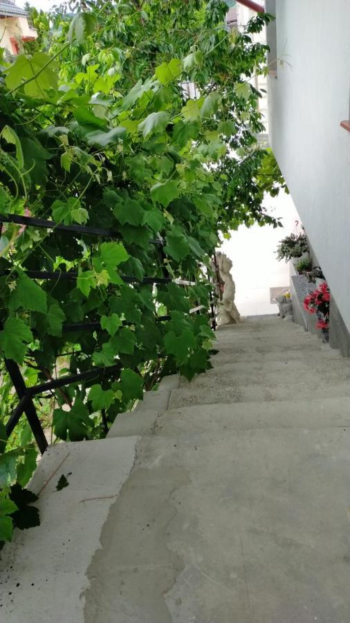 Apartmán Casa Irimescu Hura-Humora Exteriér fotografie