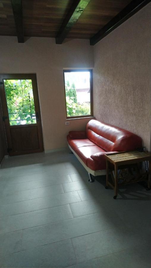 Apartmán Casa Irimescu Hura-Humora Exteriér fotografie